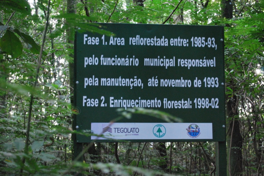 Vista da área oeste do Bosque Santa Marta