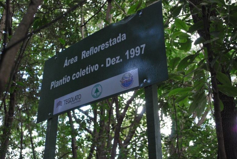 Vista da área sul do Bosque Santa Marta