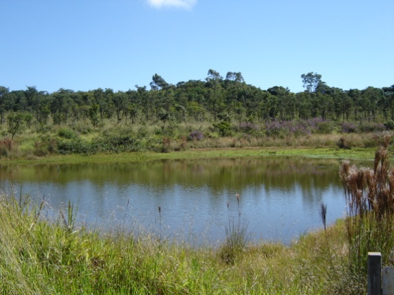 Lago Mayaca